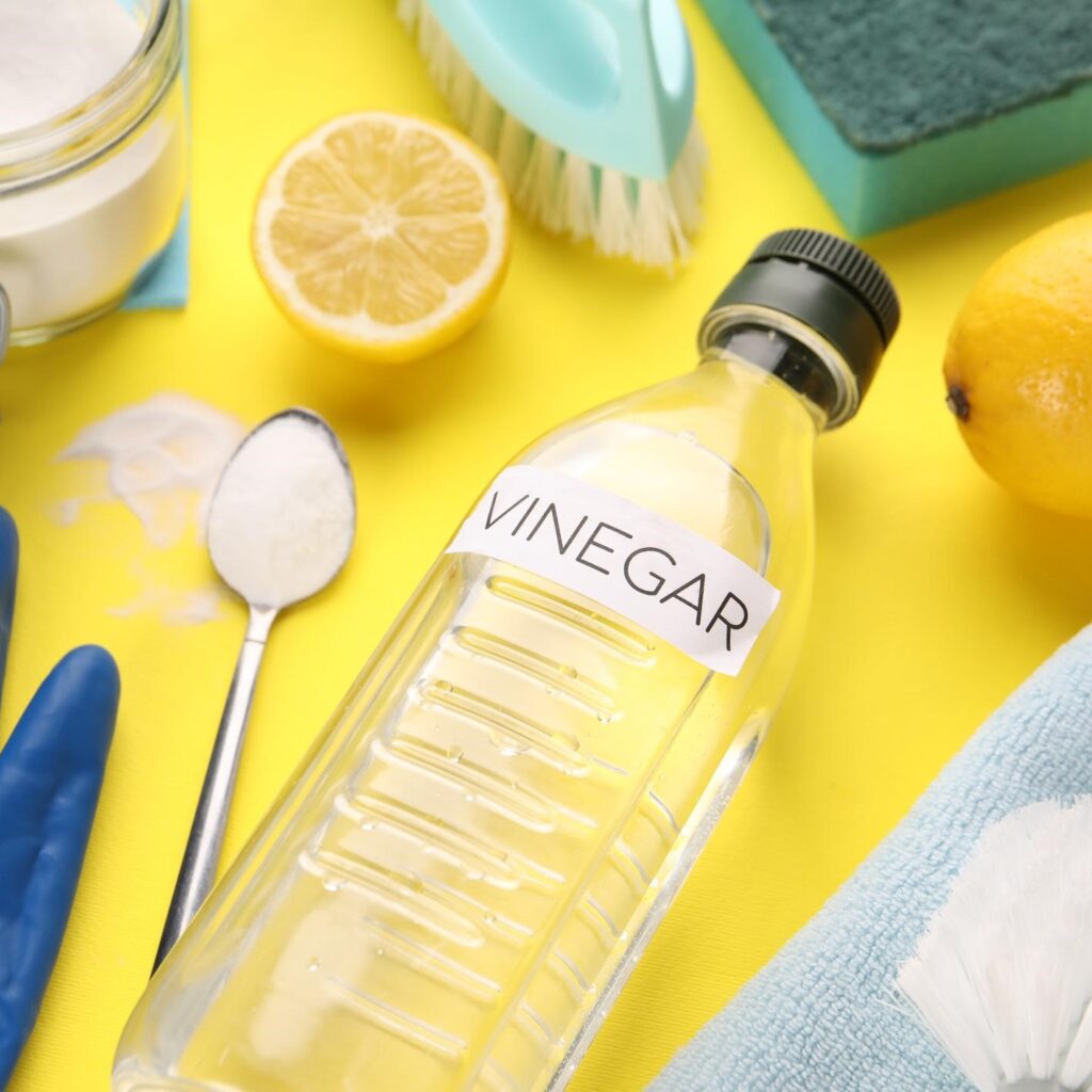 floor cleaner for home